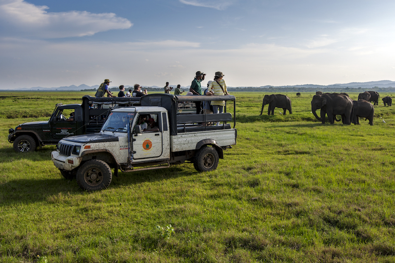 kaudulla_national_park-1